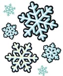 Not Recommended for Locations with Snow